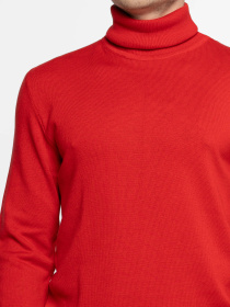 Водолазка Arber модель M10.19.04.531 Фото