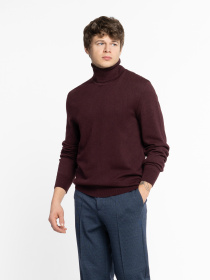 Водолазка Arber модель M10.20.18.531 Фото