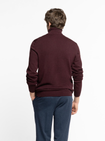 Водолазка Arber модель M10.20.18.531 Фото