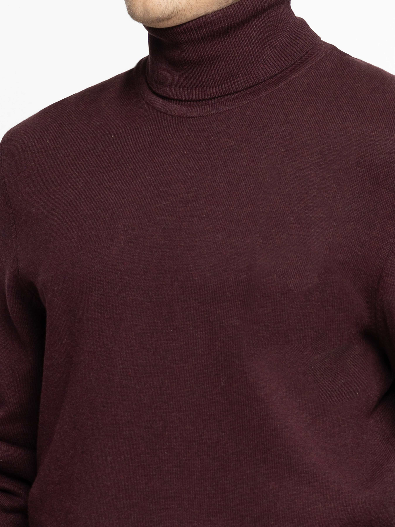 Водолазка Arber модель M10.20.18.531 Фото