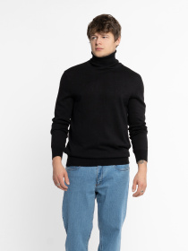 Водолазка Arber модель M10.21.02.531 Фото