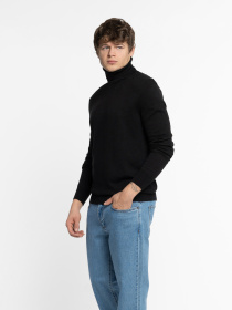 Водолазка Arber модель M10.21.02.531 Водолазка Arber модель M10.21.02.531 Фото