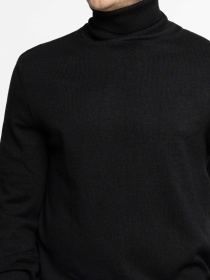 Водолазка Arber модель M10.21.02.531 Водолазка Arber модель M10.21.02.531 Фото