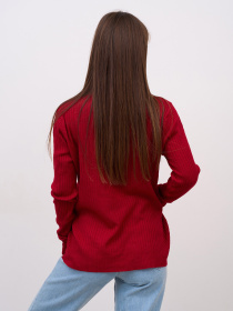 Водолазка ISSA Plus модель WN20-721_бордовый Фото