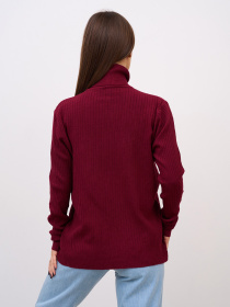 Водолазка ISSA Plus модель WN20-721_фиолетовый Фото