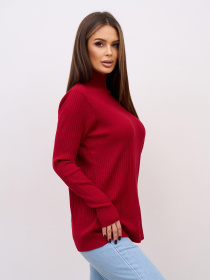 Водолазка ISSA Plus модель WN20-720_бордовый Фото