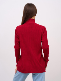 Водолазка ISSA Plus модель WN20-720_бордовый Фото