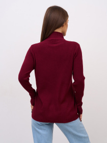 Водолазка ISSA Plus модель WN20-720_фиолетовый Водолазка ISSA Plus модель WN20-720_фиолетовый Фото