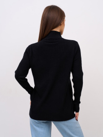 Водолазка ISSA Plus модель WN20-720_черный Водолазка ISSA Plus модель WN20-720_черный Фото