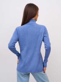 Водолазка ISSA Plus модель WN20-720_голубой Фото