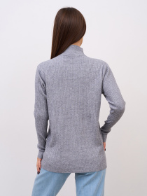 Водолазка ISSA Plus модель WN20-720_серый Фото