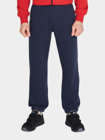 Штаны спортивные Lotto модель 216792_1CI Фото