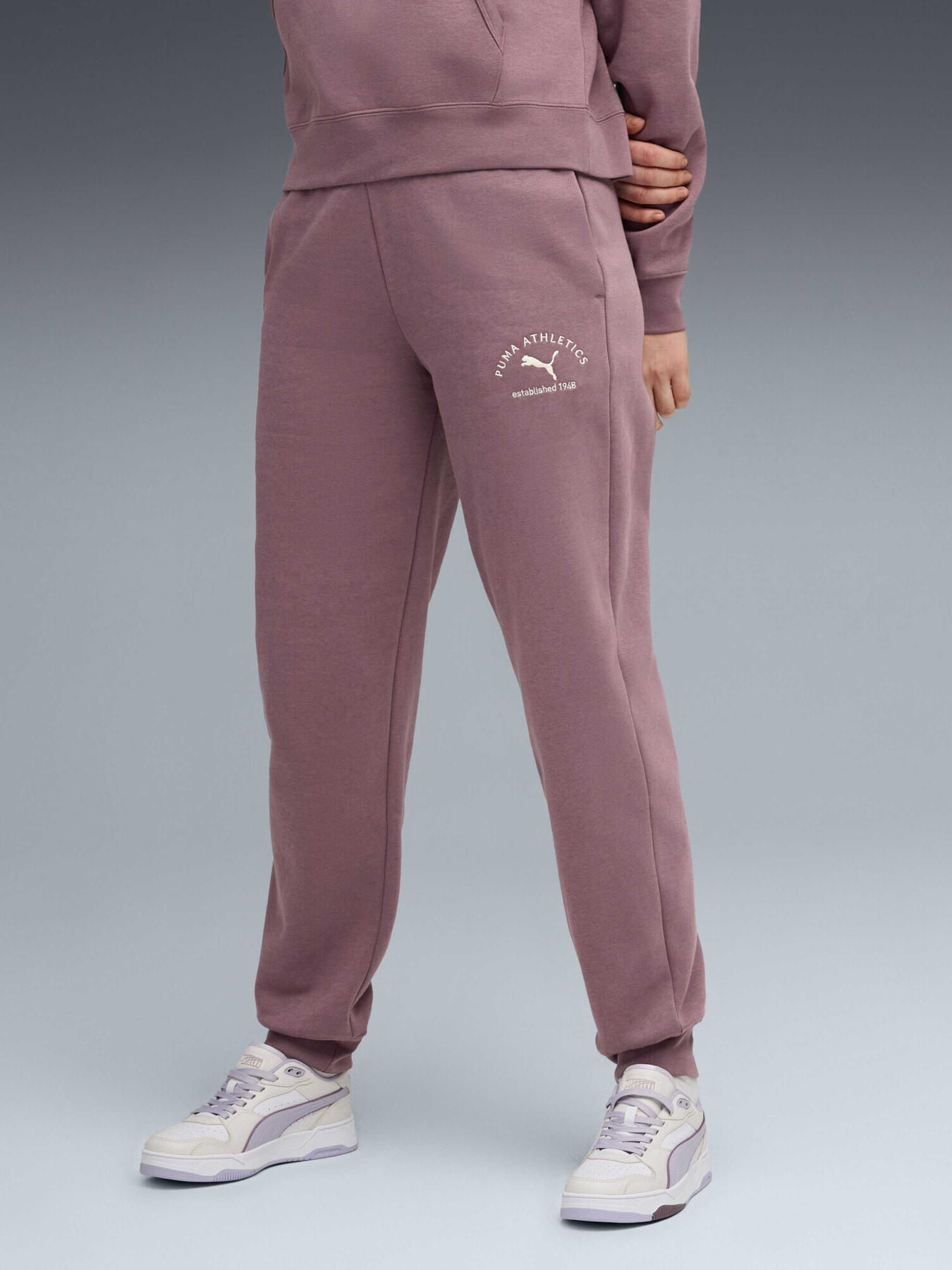 Штани спортивні PUMA Class Sweatpants модель 688136 Фото