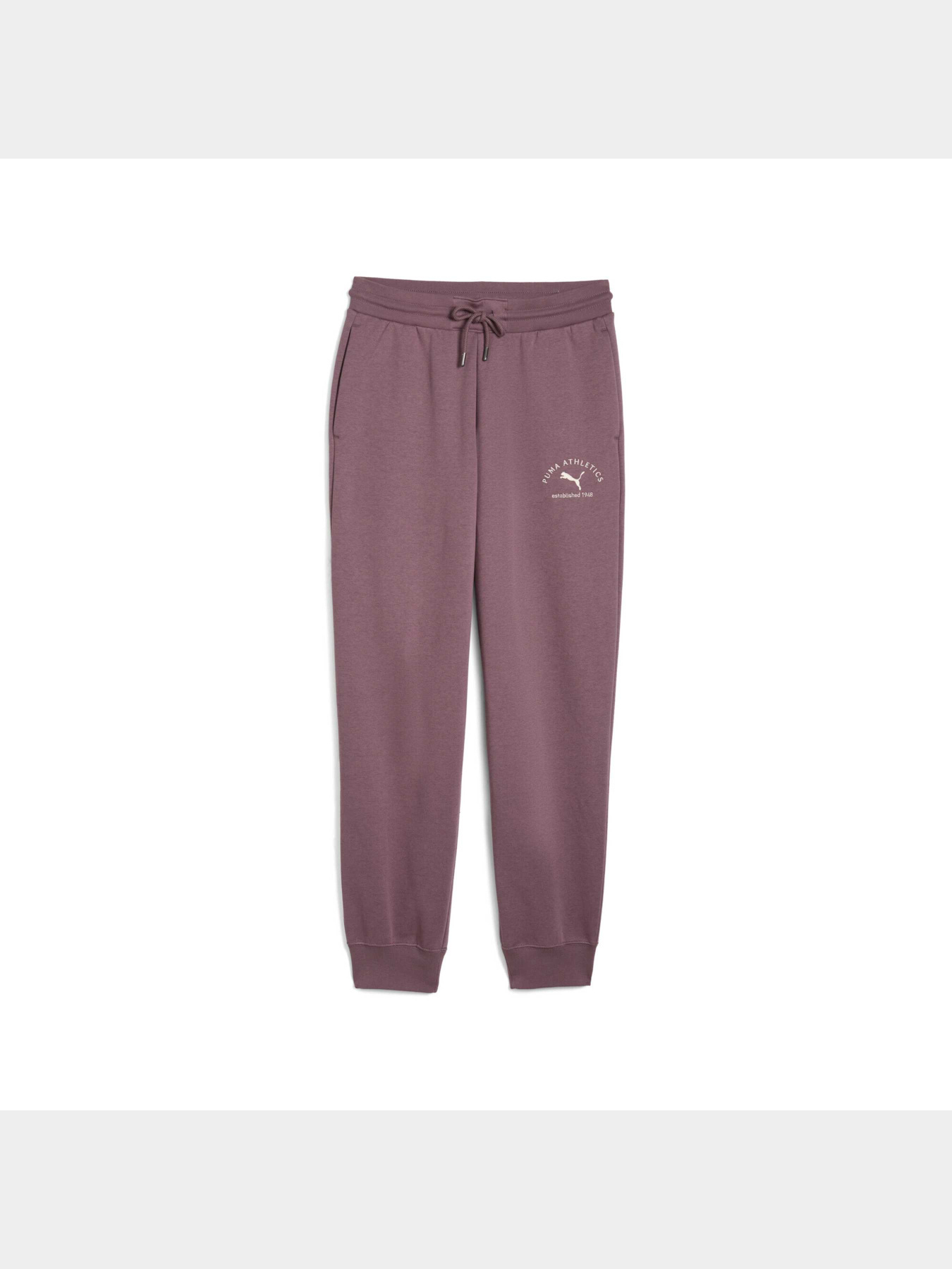 Штаны спортивные PUMA Class Sweatpants модель 688136 Фото
