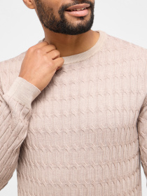 Джемпер Eterna модель ET.-327/27/HENG Фото