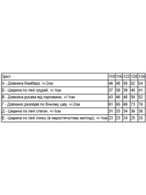 Костюм Носи своє модель 6442-025-33-nzhir Фото