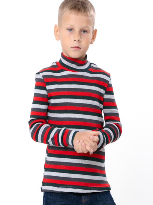 Водолазка Носи своє модель 6068-022-4-chervonij-temno-zelenij Фото