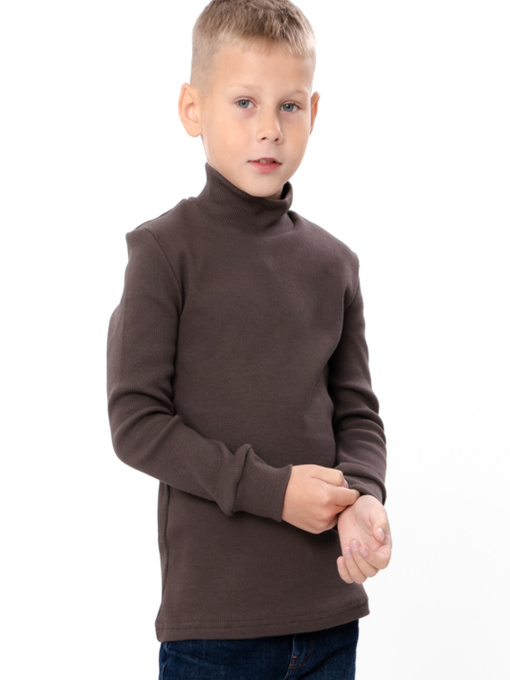 Водолазка Носи своє модель 6068-019-shokolad Фото