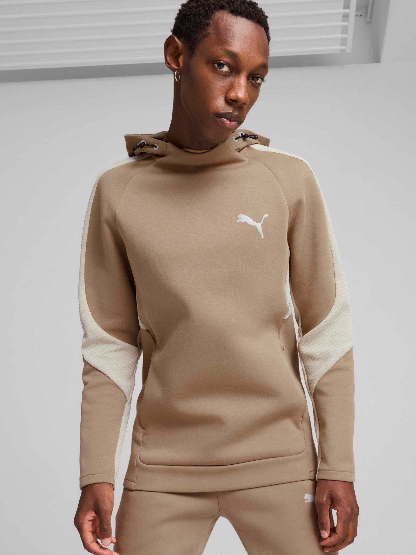 Худи PUMA Evostripe Hoodie модель 681699 Фото