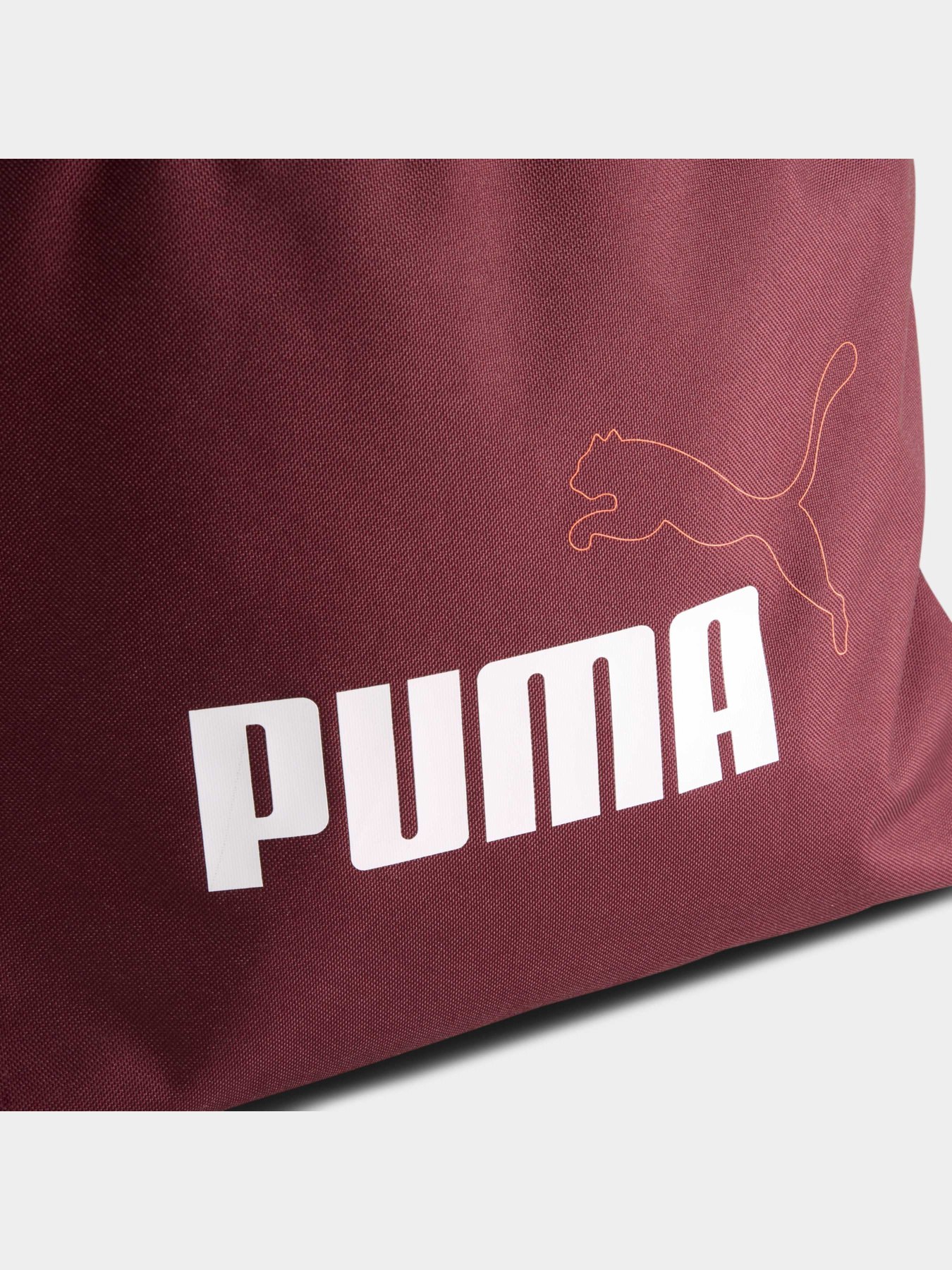 Рюкзак PUMA Phase Elemental Backpac модель 090695 Фото