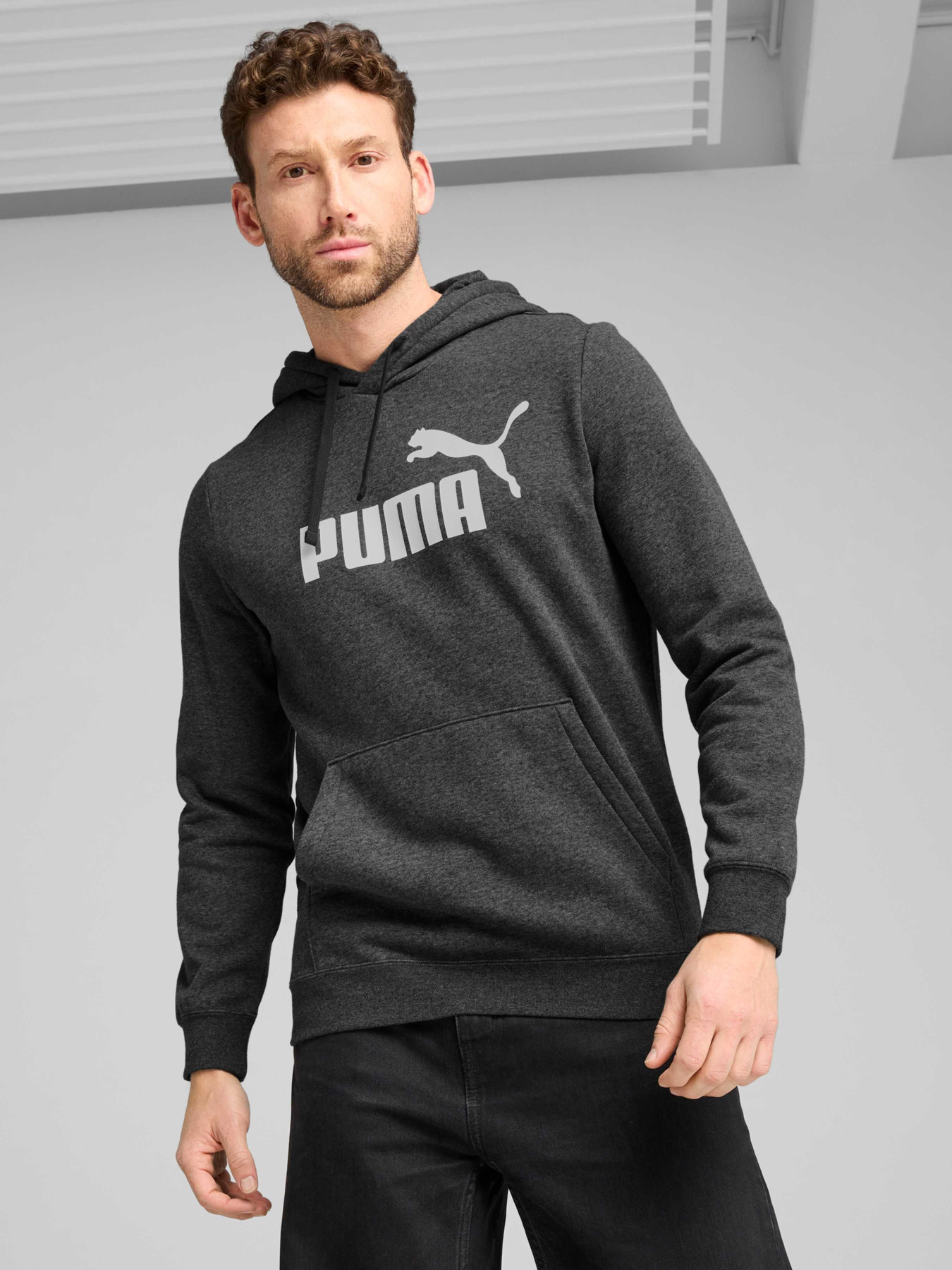 Худи PUMA Ess No. 1 Logo Hoodie модель 682570 Фото