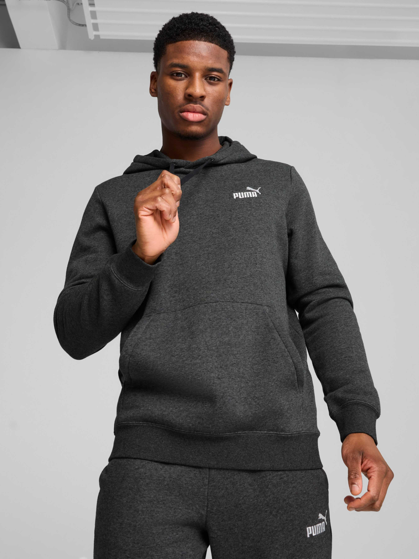 Худи PUMA Ess Small No. 1 Logo Hoodie модель 682574 Фото