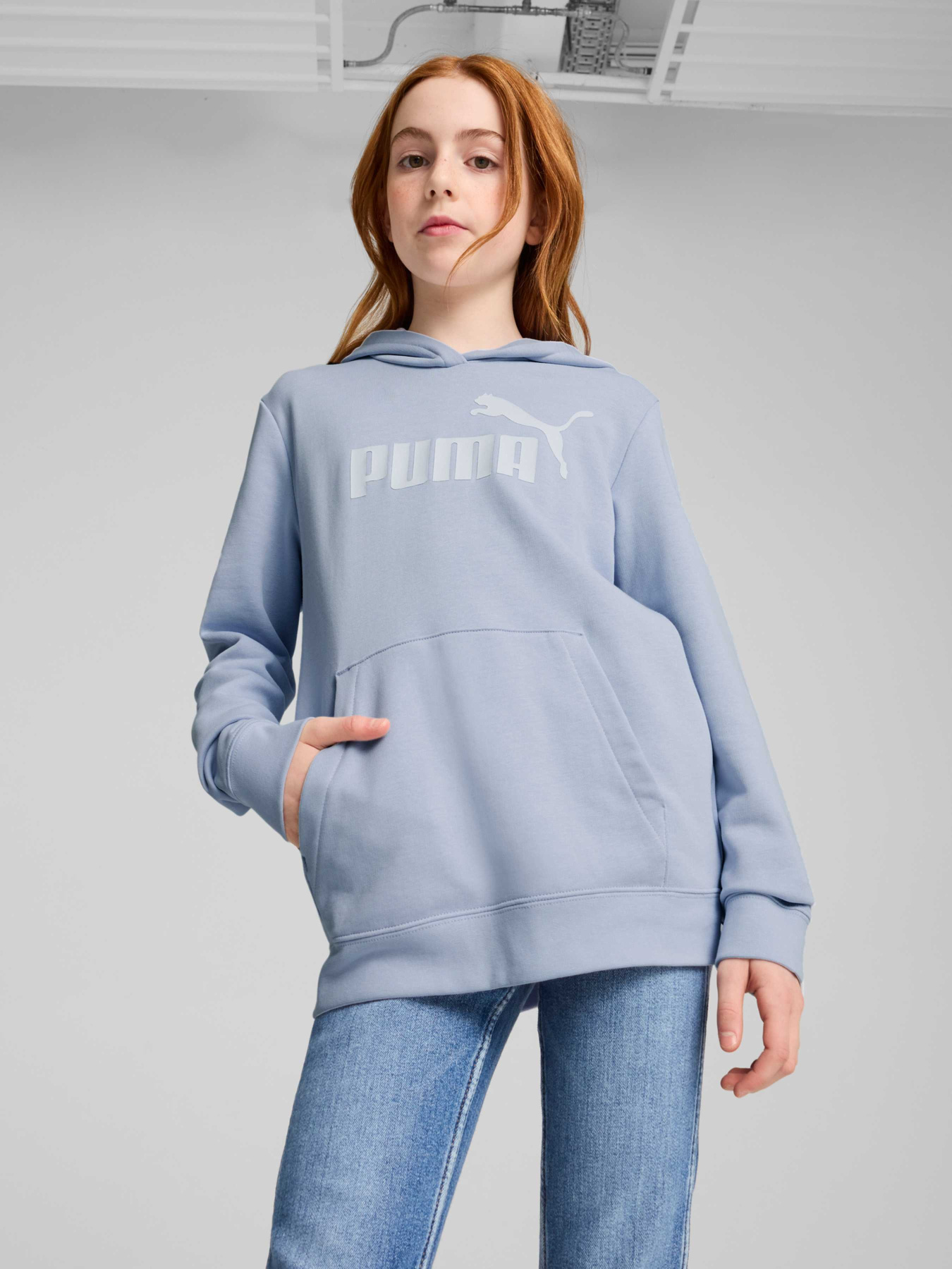 Худі PUMA Ess No. 1 Logo Hoodie модель 684897 Фото