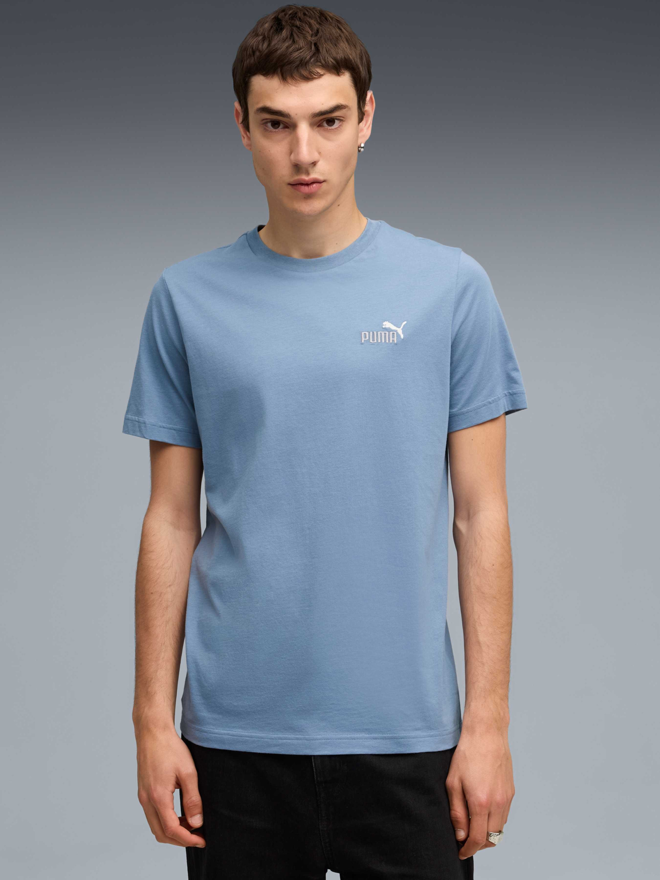 Футболка PUMA Ess 2 Color Small Logo Tee модель 684717 Фото
