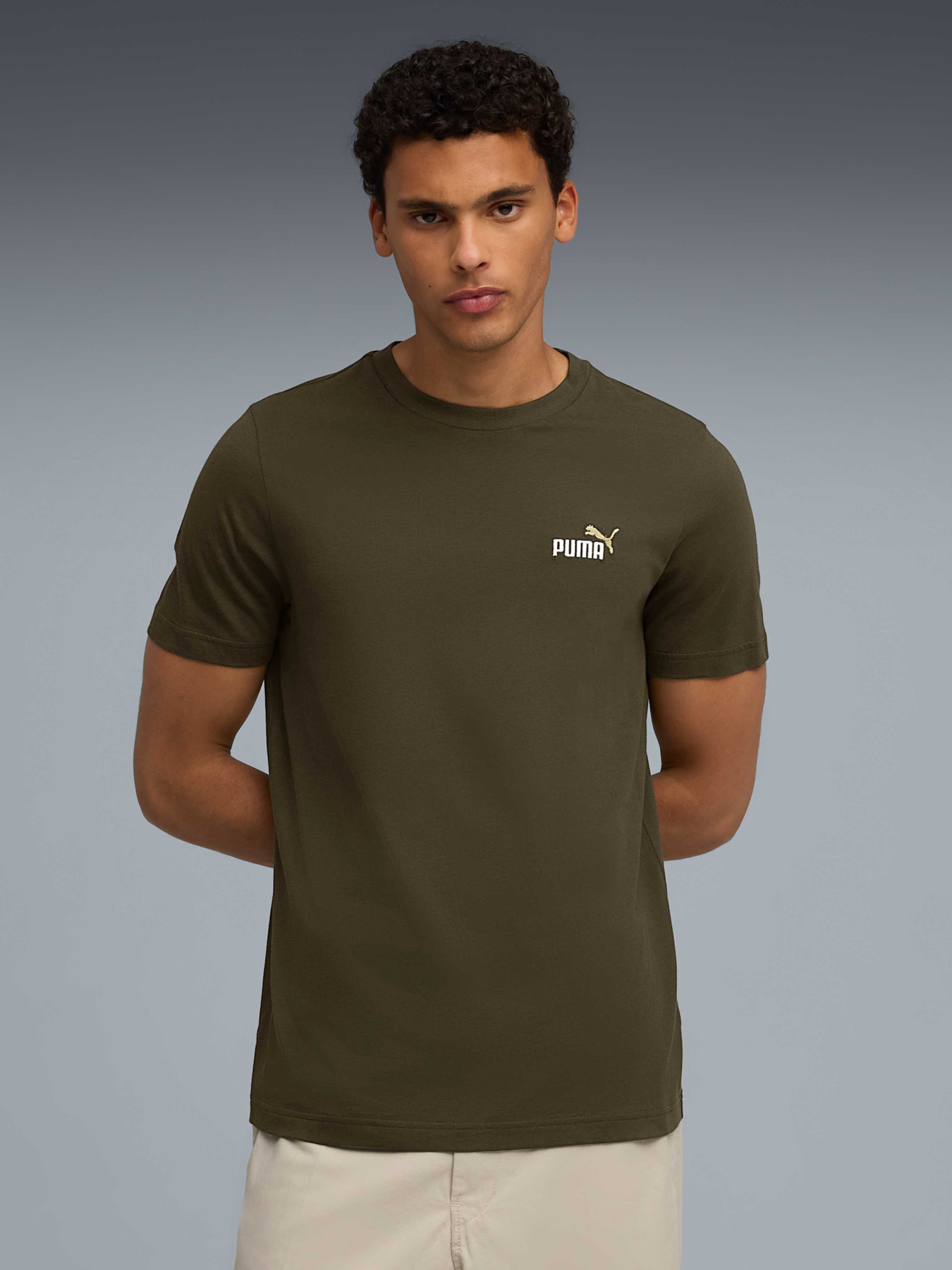 Футболка PUMA Ess 2 Color Small Logo Tee модель 684717 Фото