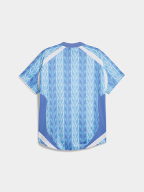 Футболка PUMA Football Jersey модель 627885 Фото