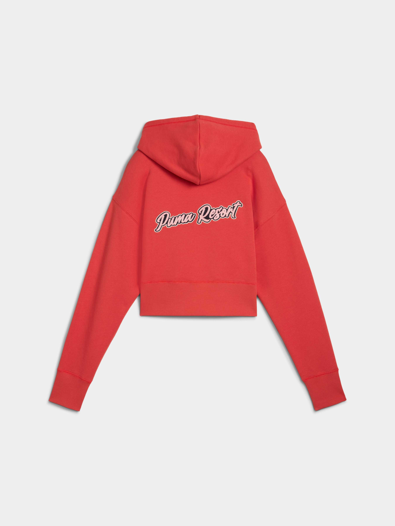 Худи PUMA Premium Ess Graphic Hoodie модель 629778 Фото