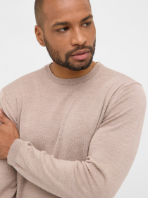 Джемпер Eterna модель ET.-367/21/HOBO Фото