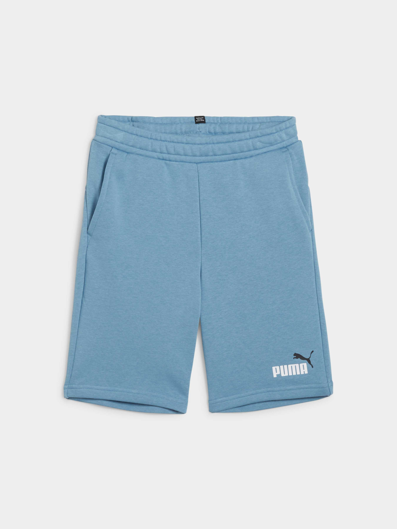 Повсякденні шорти PUMA Ess+ 2 Col Shorts модель 586989 Фото