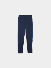 Штаны спортивные PUMA Evostripe Pants модель 679198 Фото