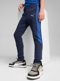 Штаны спортивные PUMA Evostripe Pants модель 679198 Фото