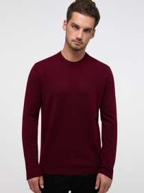 Джемпер Eterna модель ET.-367/58/HOBO Фото