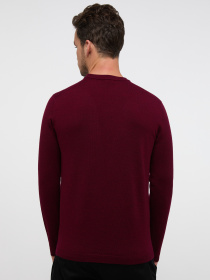 Джемпер Eterna модель ET.-367/58/HOBO Фото