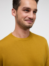 Джемпер Eterna модель ET.-367/75/HOBO Фото