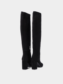 Ботфорты Attizzare модель JC045-5A Фото