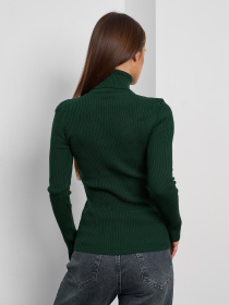 Водолазка ISSA Plus модель WN19-95_темно-зеленый Фото