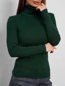 Водолазка ISSA Plus модель WN19-95_темно-зеленый Фото