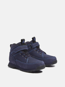 Ботинки и сапоги Timberland модель TB0A6D86EP2 Фото
