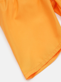 Шорты для плавания H&M модель 78867 Шорты для плавания H&M модель 78867 Фото