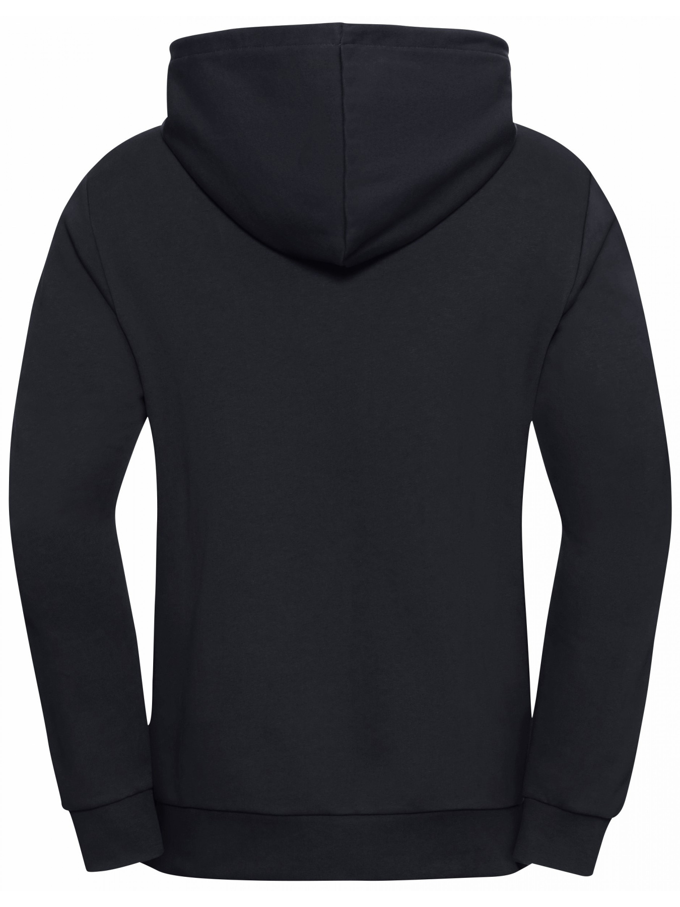 Худи Jack Wolfskin модель A63872_C0413 Фото