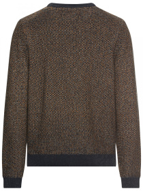 Свитер Camel Active модель 409500-6K07-67 Фото