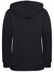 Худи Jack Wolfskin модель A63848_C0413 Фото