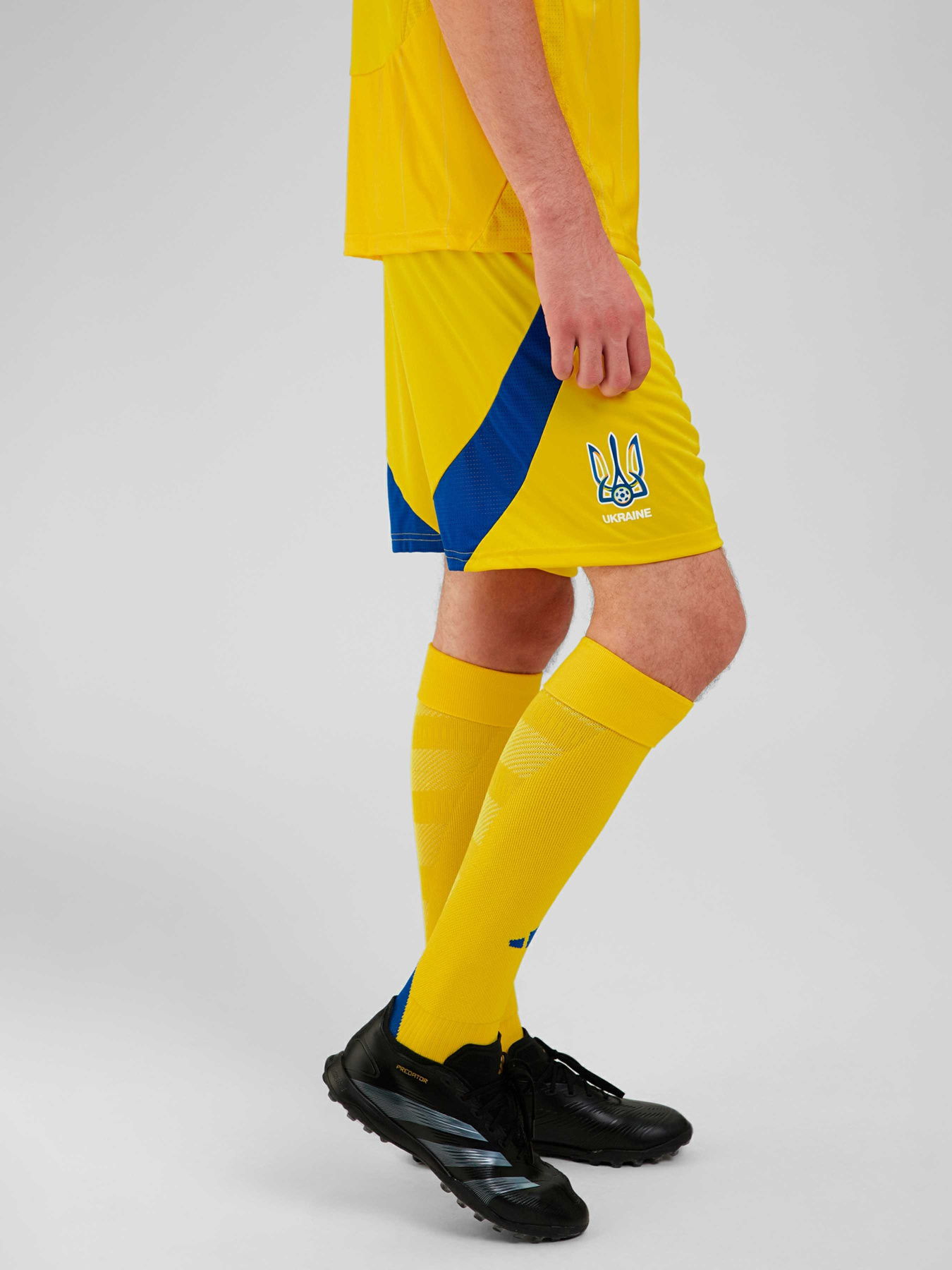 Шорты спортивные Adidas модель IK2248 Фото