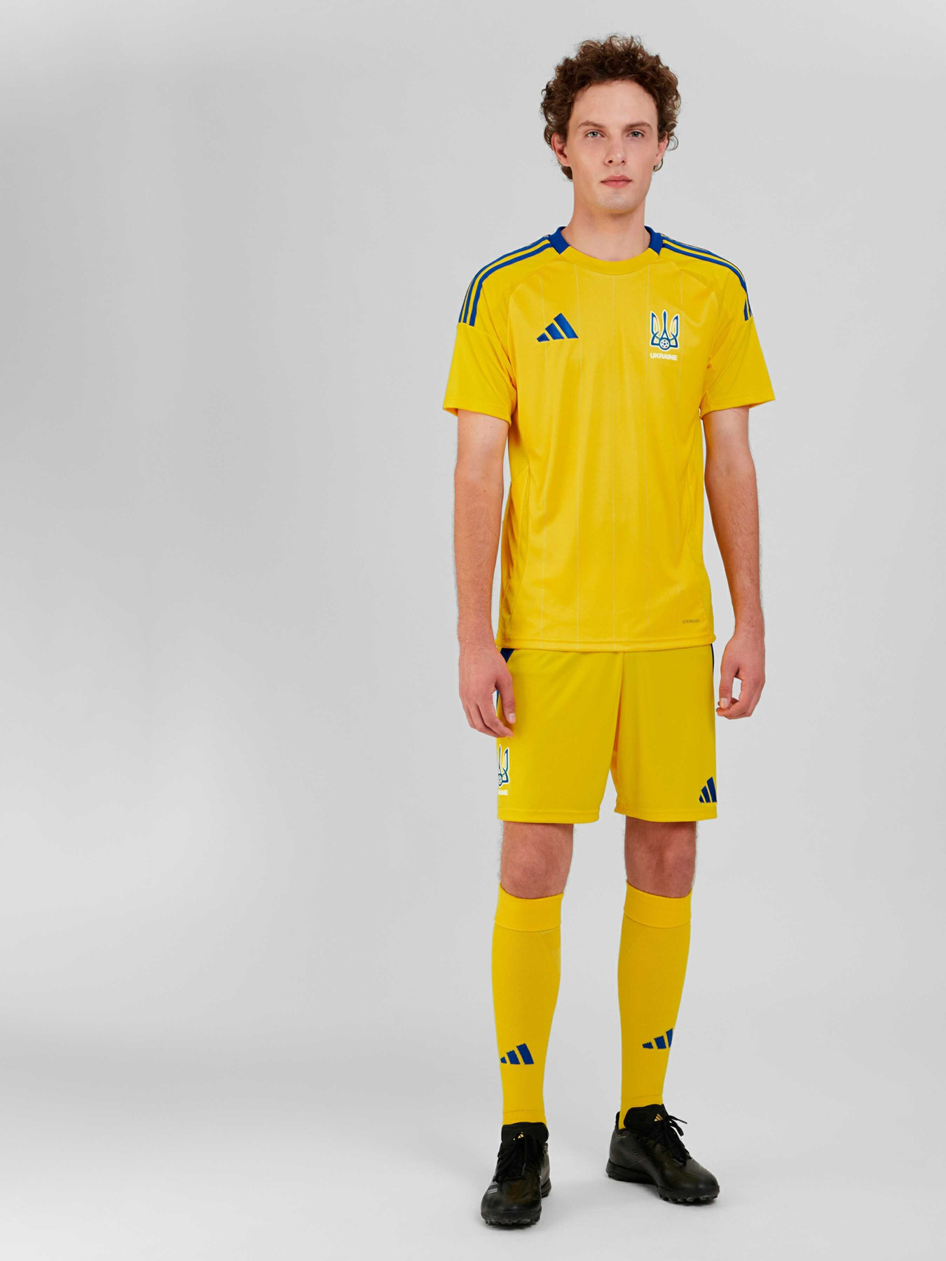 Шорты спортивные Adidas модель IK2248 Фото