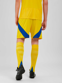 Шорты спортивные Adidas модель IK2248 Фото