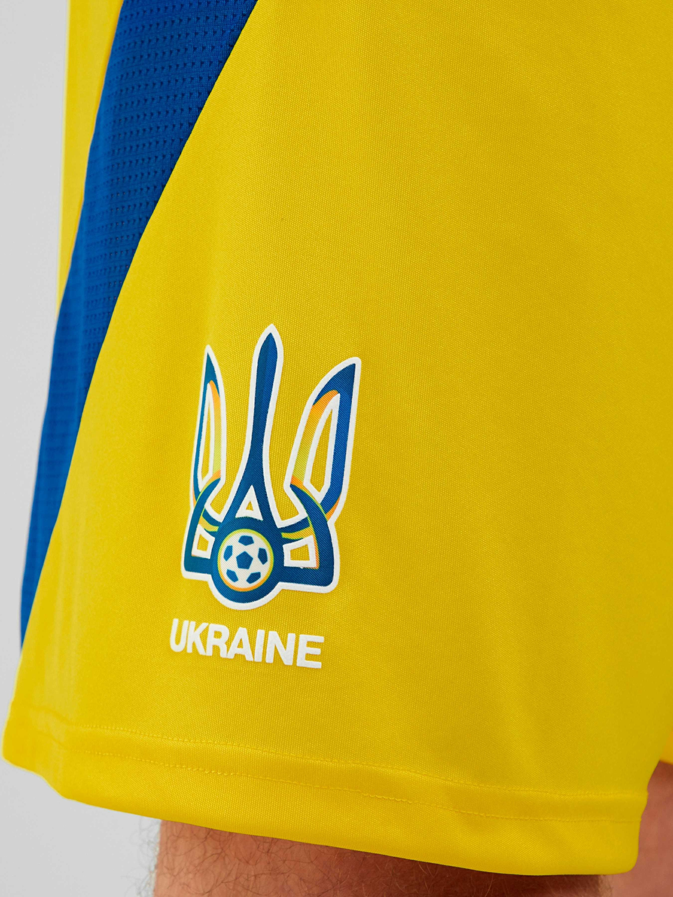 Спортивні шорти Adidas модель IK2248 Спортивні шорти Adidas модель IK2248 Фото